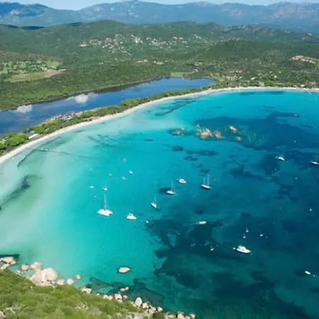 Mésange600m à Pied De Santagiulia Jacuzzi Porto-Vecchio (Corsica)