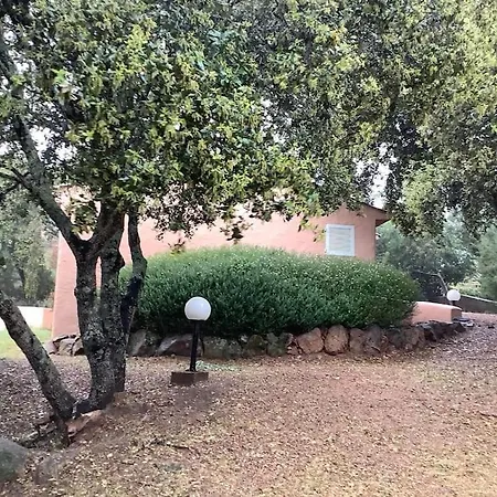 Mésange600m à Pied De Santagiulia Jacuzzi * Porto-Vecchio (Corsica)
