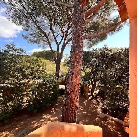Holiday home Mesange600m A Pied De Santagiulia Jacuzzi Porto-Vecchio (Corsica)