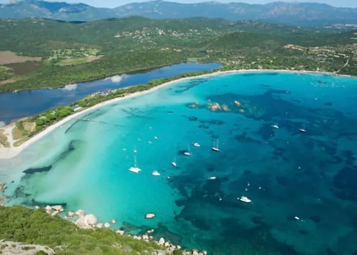 Mésange600m à Pied De Santagiulia Jacuzzi Porto-Vecchio (Corsica)