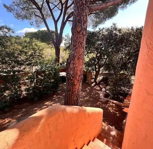 Mesange600m A Pied De Santagiulia Jacuzzi Feriehus Porto-Vecchio (Corsica)
