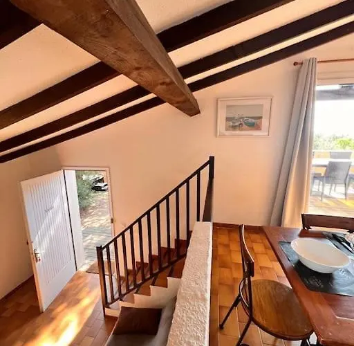 Mésange600m à Pied De Santagiulia Jacuzzi Porto-Vecchio (Corsica)