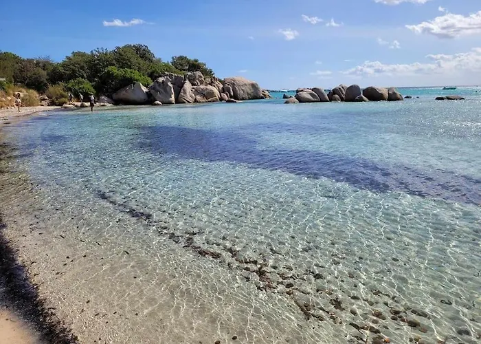 Hébergement de vacances Mésange600m à Pied De Santagiulia Jacuzzi