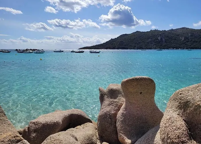 Mésange600m à Pied De Santagiulia Jacuzzi Porto-Vecchio (Corsica)